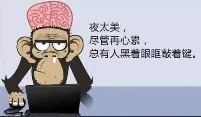 程序員假期怎么過，快來看看你屬于哪一種？